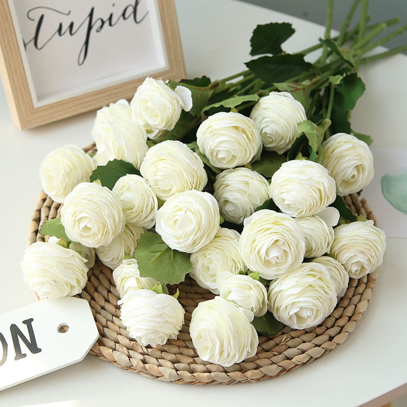 collection-banner-image